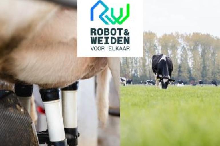 Robot & Weiden