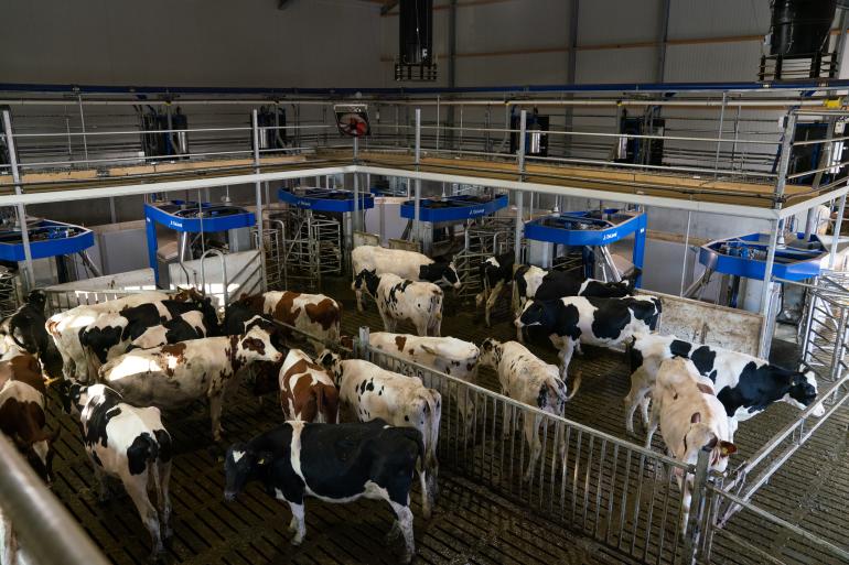 Fam. Loonen Boerderij de Boterpot met DeLaval VMS Batch Milking met 11x VMS V310 melkrobots