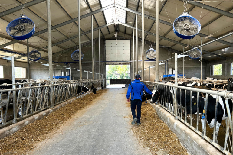 Melkveehouder wandelt door de voergang tussen de koeien aan het voerhek. In de stal hangt het DeLaval Cow Cooling systeem