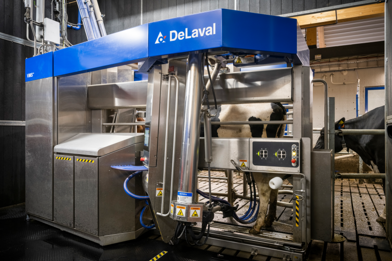 DeLaval VMS V300-melkrobot met Flow-Responsive Milking op Hamra Farm