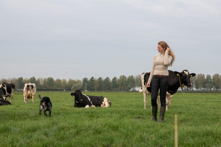 Lisette in het weiland