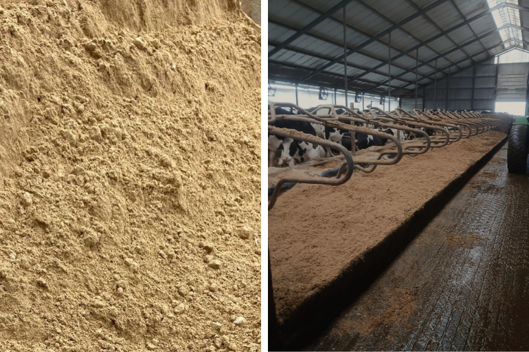 Box kalk Premium Berg Agri en een ligbed met maatwerk stalstrooisel.