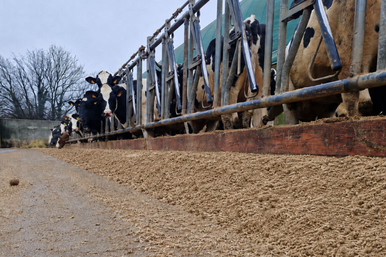 Haverschilpellets gemengd door het rantsoen