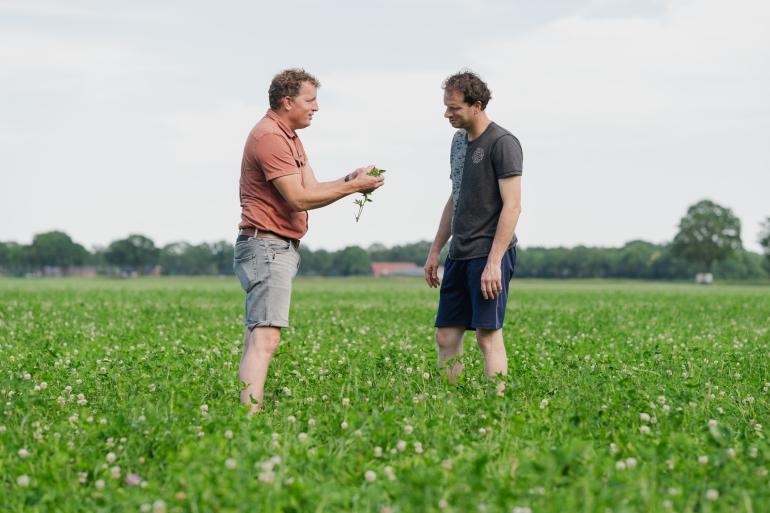Ruwvoerspecialist Christiaan en melkveehouder Wout bekijken de kwaliteit van grasklaver