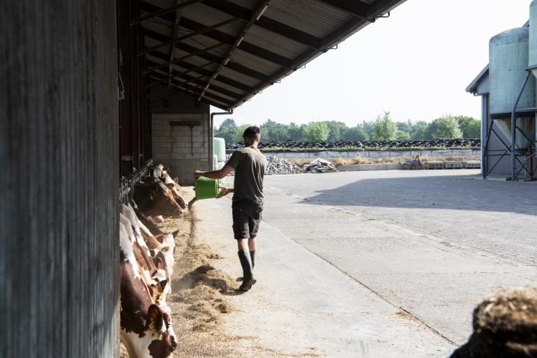 Niels aan het werk