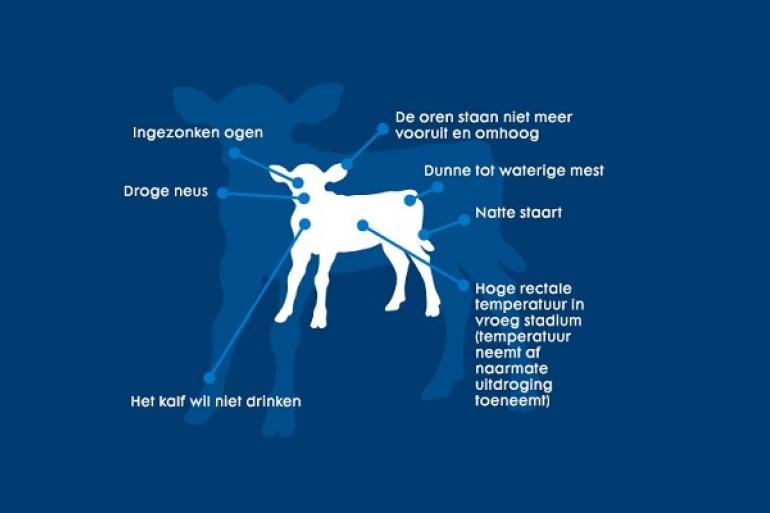 Symptomen diarree en uitdroging