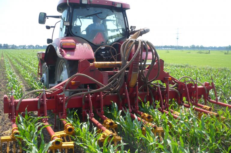 Het welslagen van het vanggewas bij onderzaai is onder andere afhankelijk van de vraag of, wanneer en hoeveel bodemherbicide er is gebruikt