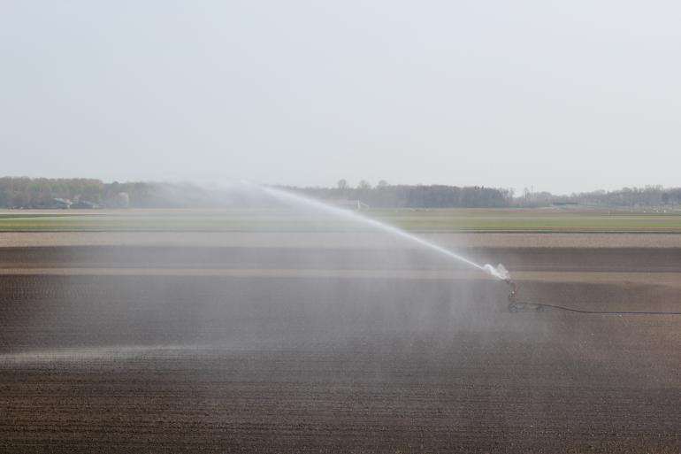 Beregenen om de kieming en beginontwikkeling van de maïs te stimuleren