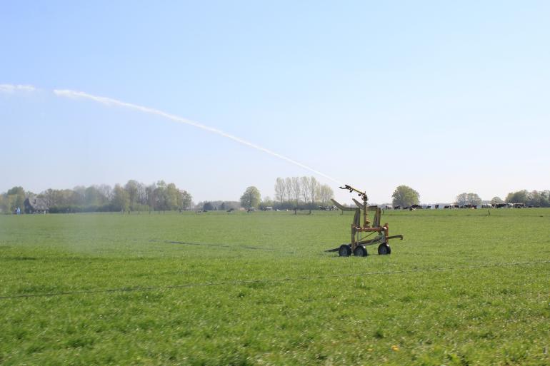 Zelfs al voor de eerste snede is grasland beregend