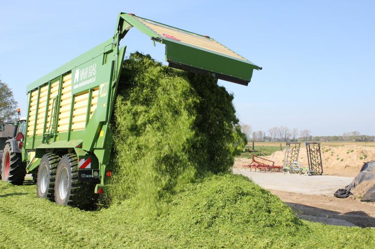 Vanggewas Snelle Lente Rogge voor meer eiwit van het eigen bedrijf