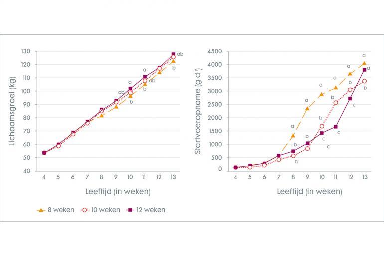 Figuur 1. Effect van spenen op 8, 10 en 12 weken leeftijd op de lichaamsgroei en startvoeropname (bron: Meale et al., 2015)