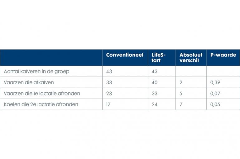 Tabel 1. LifeStart-onderzoek naar relatie kalveropfok en aantal lactaties