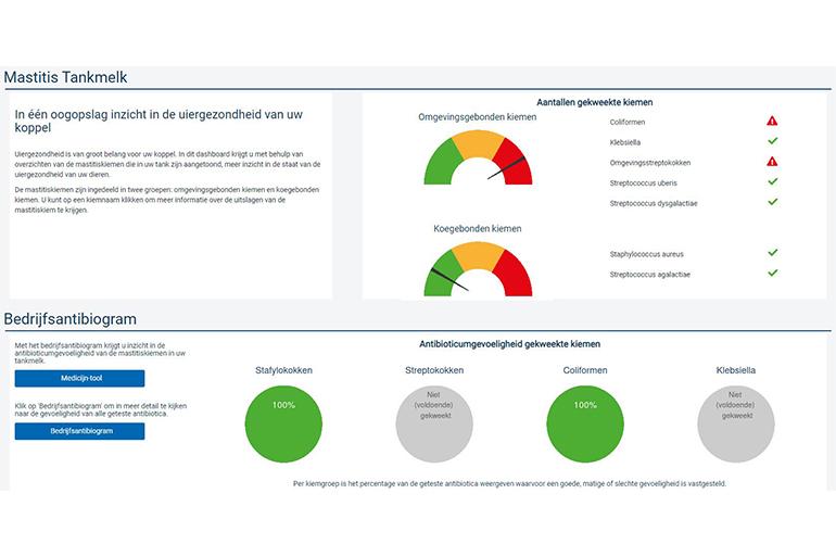 Voorbeeld van een dashboard