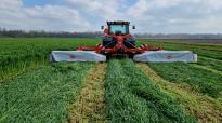 Oogst Snelle Lente Rogge