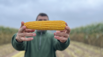 CropEx, Syngenta's innovatieve onderzoeksplatform, revolutioneert maïsteelt met precisie-landbouw. Door slimme data-analyse optimaliseert het zaaikeuze, bemesting en oogstplanning, voor efficiëntere en duurzamere landbouw.