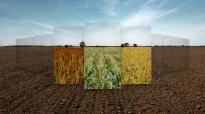 Sorghum, Maïs en Snelle Lente Rogge