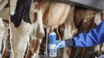 DeLaval  BioFoam Plus