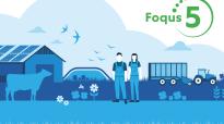 Foqus 5