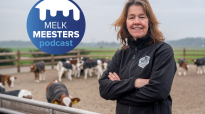 Jennie Polinder voor de kalveren op het kalverstrand met het Melkmeesters podcast logo