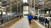 Melkveehouder wandelt door de voergang tussen de koeien aan het voerhek. In de stal hangt het DeLaval Cow Cooling systeem