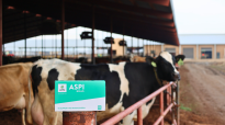 Aspi ondersteunt de immuunrespons van de koe
