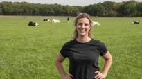 Debbie in het weiland