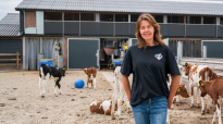 Jennie Polinder - Van Emst, melkveehouder, en op de achtergrond haar kalveren op het Kalverstrand 