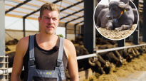 Jochem Buffels Dutch Carabao